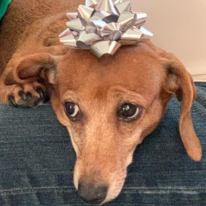 Meet your Posher, Debra